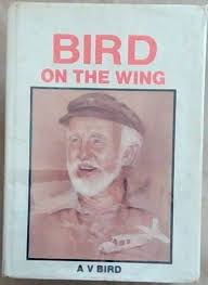 Bird on a wing