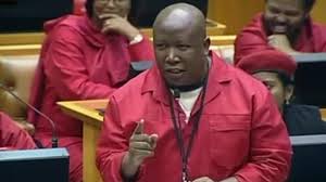 Malema in parlement