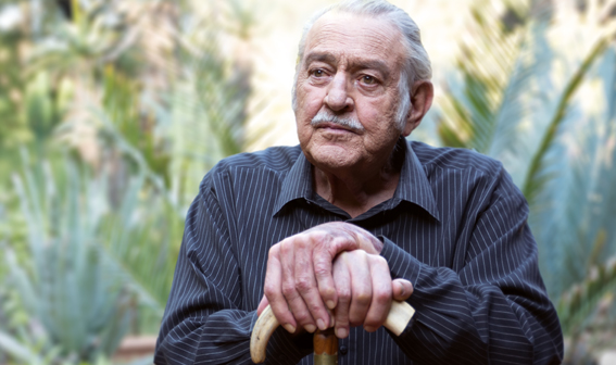 Pik Botha se belydenis