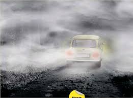 Voel voel in digte mis 2