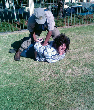 nuwe suid afrika in beeld