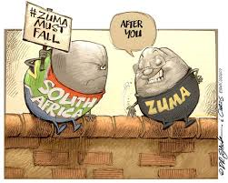 Zuma must fall